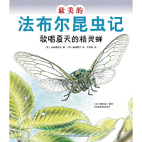 正版新书]最美的法布尔昆虫记-歌唱夏天的精灵蝉[日]小林清之介