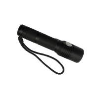 赛驰科技(SAICKG) SCK3-7603 DC220V 50W 6700K IP65 电筒 (单位:个) 黑