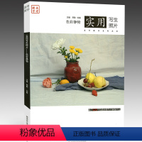 [正版](量大优惠)2015美考教学 实用写生照片 色彩静物 静物组合训练 色调 黑白照片 联考考题 美术艺考书籍97