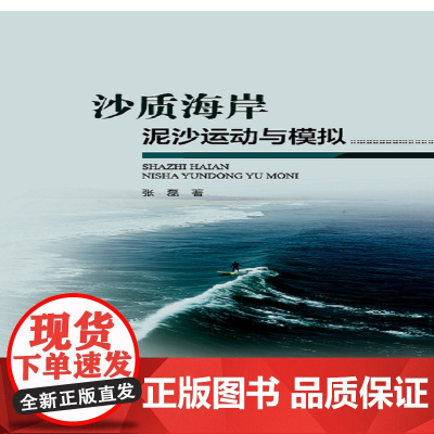 沙质海岸泥沙运动与模拟