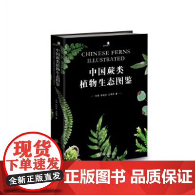 中国蕨类植物生态图鉴 中国蕨类植物生态图鉴