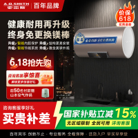 史密斯60升电热水器 国家补贴 专利免更换镁棒 金圭特护内胆 速热节能 CEWH-60ED3 一级能效