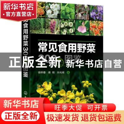 正版 常见食用野菜300种图鉴 徐晔春,蒋明,孙光闻 化学工业出版社