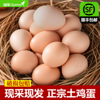 雀淘AA级新鲜土鸡蛋15枚装无沙门氏菌农家放养草鸡蛋营养早餐顺丰发货