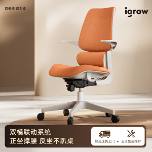 igrow爱果乐青少年骑马椅电脑椅人体工学椅写字椅书桌椅学习椅子