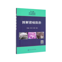 音像图解猪病防治王志远、李涛、孙霞