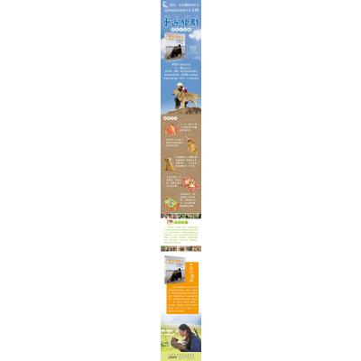 回归家园:重返狼群.彩绘注音版3