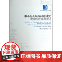 中小企业融资问题研究--基于西部地区产业集群发展视角/经