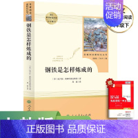 钢铁是怎样炼成的❤️[八年级人教版] [正版]八年级必读名著全套4册 红星照耀中国和昆虫记原著完整版经典常谈钢铁是怎样炼