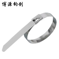 博源钧创 304不锈钢扎带 4.6*300MM 根