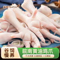 雀淘 冷冻鸡爪500g/袋 1袋装 生鲜食材个大肉厚筋道有嚼劲适合卤制泡椒红烧家庭烹饪优选