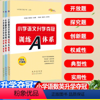 [3本套]语文+数学+英语 小学升初中 [正版]小学升学夺冠训练A体系语文数学英语小学升学夺冠基础重点知识大全通用版小学