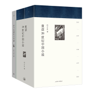 音像许子东现代文学课+重读20世纪中国小说共三册许子东