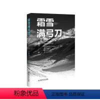 [正版]霜雪满弓刀 辛建民 著 文学 中国现当代文学 现代/当代文学 书店图书籍百花洲文艺出版社