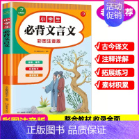 小学生必背文言文 小学通用 [正版]小学生必背文学常识积累大全人教版语文知识手册中国古现代国外文学题库集锦古诗词75+8