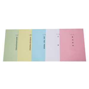 龙档 A4干部档案盒 干部人事档案盒 PP材质档案盒 纸质档案盒 干部廉政档案盒 可定制