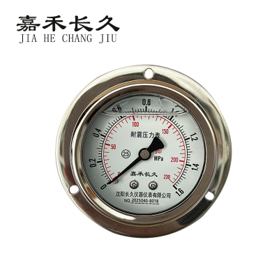 嘉禾长久 耐震压力表轴向带边 YN50ZT 0-1.6Mpa 块