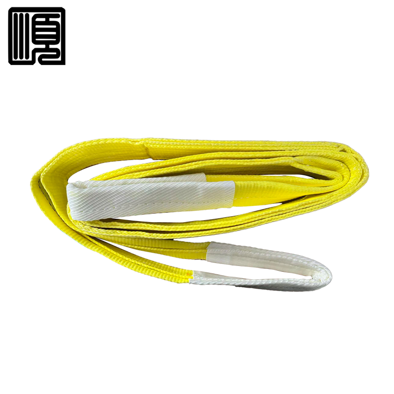 顺心捷 扁平吊装带 3T2M 个