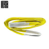 顺心捷 扁平吊装带 3T2M 个