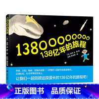《138亿年的旅程》精装 一场生命与文明的演化之旅 [正版]百班千人书目迷路的小孩厚脸皮的乌鸦等可选平装绘本暑期阅读适