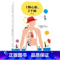 我的身体我知道系列-1颗心脏,2 个肺:呼吸 [正版]我的身体我知道系列1颗心脏2 个肺:呼吸精装硬壳人体运转幼儿园读物