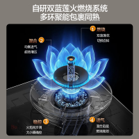 万和[蓝莲花B9DS]5.2kW天然气猛火70%热效率双边定时嵌入式家用煤气双炉具双灶台灶具燃气灶全新一代猛火灶液化气气