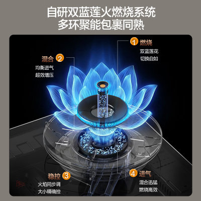 万和[蓝莲花B9DS]5.2kW天然气猛火70%热效率双边定时嵌入式家用煤气双炉具双灶台灶具燃气灶全新一代猛火灶液化气气