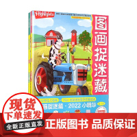 图画捉迷藏2022小精华 全2册 3-6岁 美国童光萃集出版社 著 手工游戏