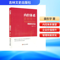 正版新书]内控体系重塑提升商业集团价值的策略方法姜彤宇 著978