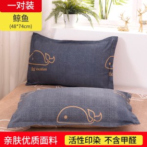 一对装纯色枕套成人枕头套单人卡通枕芯套 48x74cm春夏秋冬季