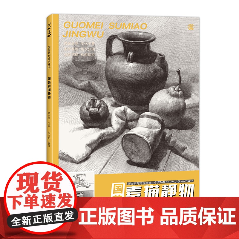 国美素描静物临摹照片书教材入门画册基础周文超美术生对画考级范本8开结构单体组合陶罐水果衬布写生铅笔绘画画儿童成人练习高考