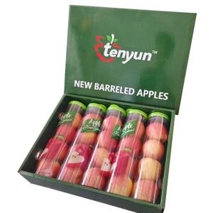 橙心果匠 精选新西兰泰勒苹果 5桶(1.6kg左右)