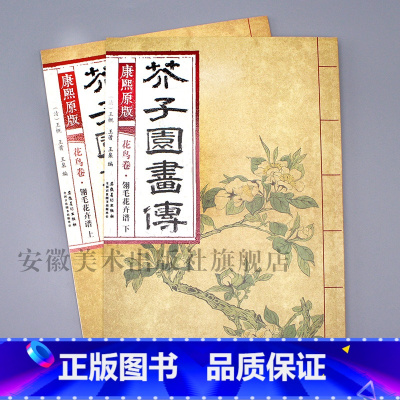 花鸟卷 翎毛花卉谱上下册 [正版]彩色版任选康熙原版 芥子园画传全13册 梅兰竹菊 翎毛花卉谱上下 草虫花卉谱上下 人物