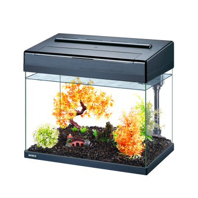 鱼缸水族箱生态过滤中型桌面热带鱼缸玻璃小型创意造景装饰金鱼缸