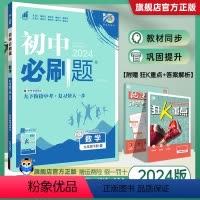 数学 九年级下 [正版]BS版2024春新版 初中九年级下册数学 北师大版 初三九年级下册数学同步训练练习册 理想树初中