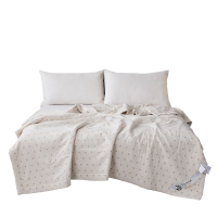 芳恩(faunen) 臻柔新疆棉花被 200×230cm FN-B6050-1