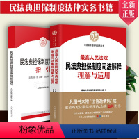 [正版]/新 人民法院民法典担保制度司法解释理解与适用+民法典担保制度法律规范指引 担保制度法律法规指导案例实务工