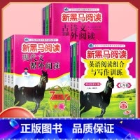 现代文阅读 九年级/初中三年级 [正版]2024新版新黑马阅读 现代文课外阅读 初中七7八8九9年级上下册通用 初中语文