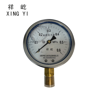 祥屹 耐震压力表 YN100 块