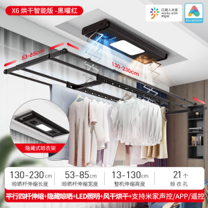 盼盼电动晾衣架智能风干烘干消毒照明晒衣机