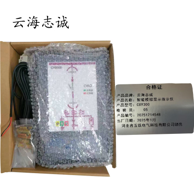 智能模拟显示指示仪 CX9300 1套