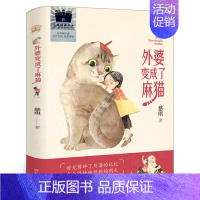 外婆变成了麻猫 [正版]大盗奶奶的完美冒险 三年级百班千人大阅小森活动祖庆说小学生课外阅读书籍全新接力出版社3年级kq5