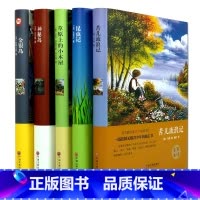 [正版]外国名著套装5册 神秘岛 苦儿流浪记 昆虫记 草原上的小木屋 金银岛 凡尔纳 初中高中生课外读物外国文学名著小说