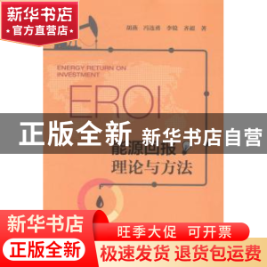 正版 能源回报理论与方法 胡燕[等]著 社会科学文献出版社 978750